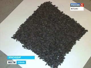 �������� ������ ��������  �������� � ��������� ������ �������