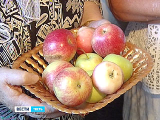 ������������ ��������� �������� ����