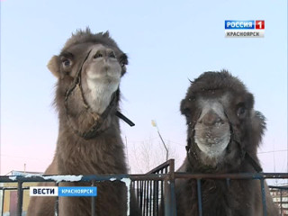 ����� ���������� ��������� ���� ������� �������� �� �������� ������