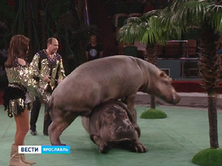 �� ������ ������������ ����� ���������� ���������� ��� ���������