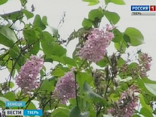 � ������� � ����� ������� ������ ��������� ��������� ������� √ � ��� � ������ �������� ������