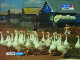 � �������� ������� ����� �������� ����������, ������������ �������������� ���� �����